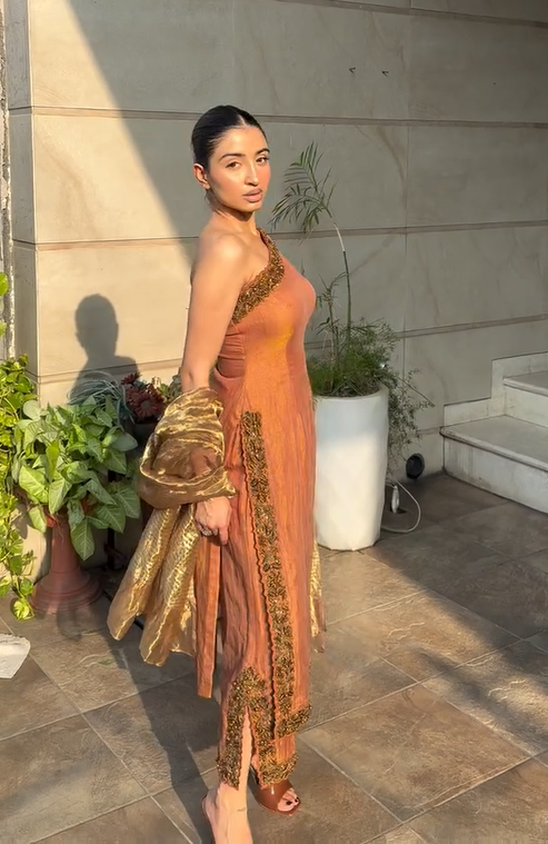 Havy Muslin Silk Suit in Brown